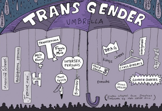 parapluie des genres
